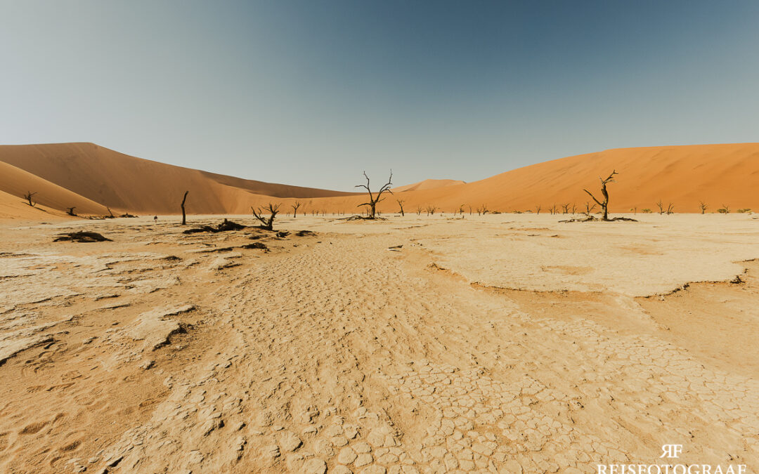 Fotoreis Namibië 2024, een land dat ons vertraagde